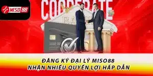 Đại lý Miso88